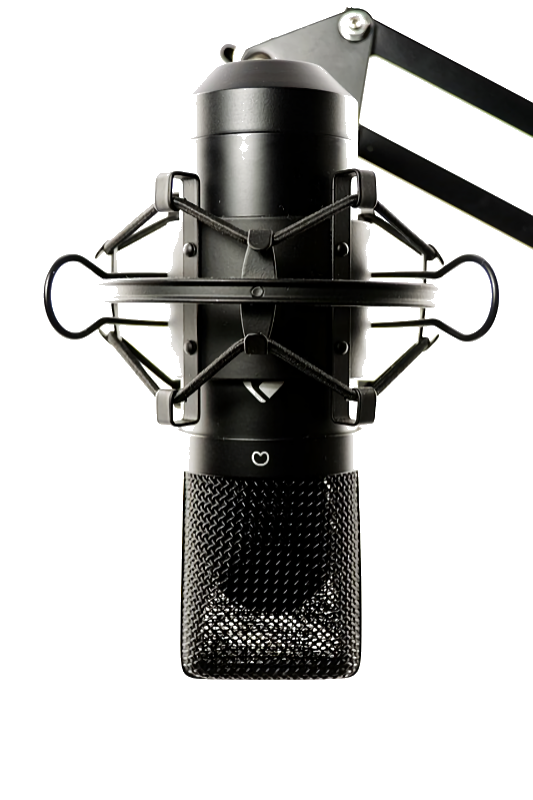 Aufnahmemikrorofon im RTF.1 Studio